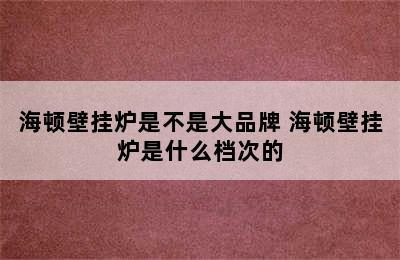 海顿壁挂炉是不是大品牌 海顿壁挂炉是什么档次的